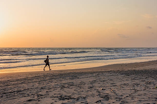 How CBD Is Transforming Health and Wellness in 2025