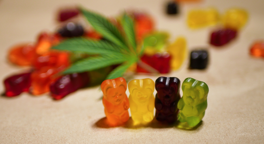 Read the Complete Analysis of Are Mushroom Gummies Legal in 2026 Before You Decide